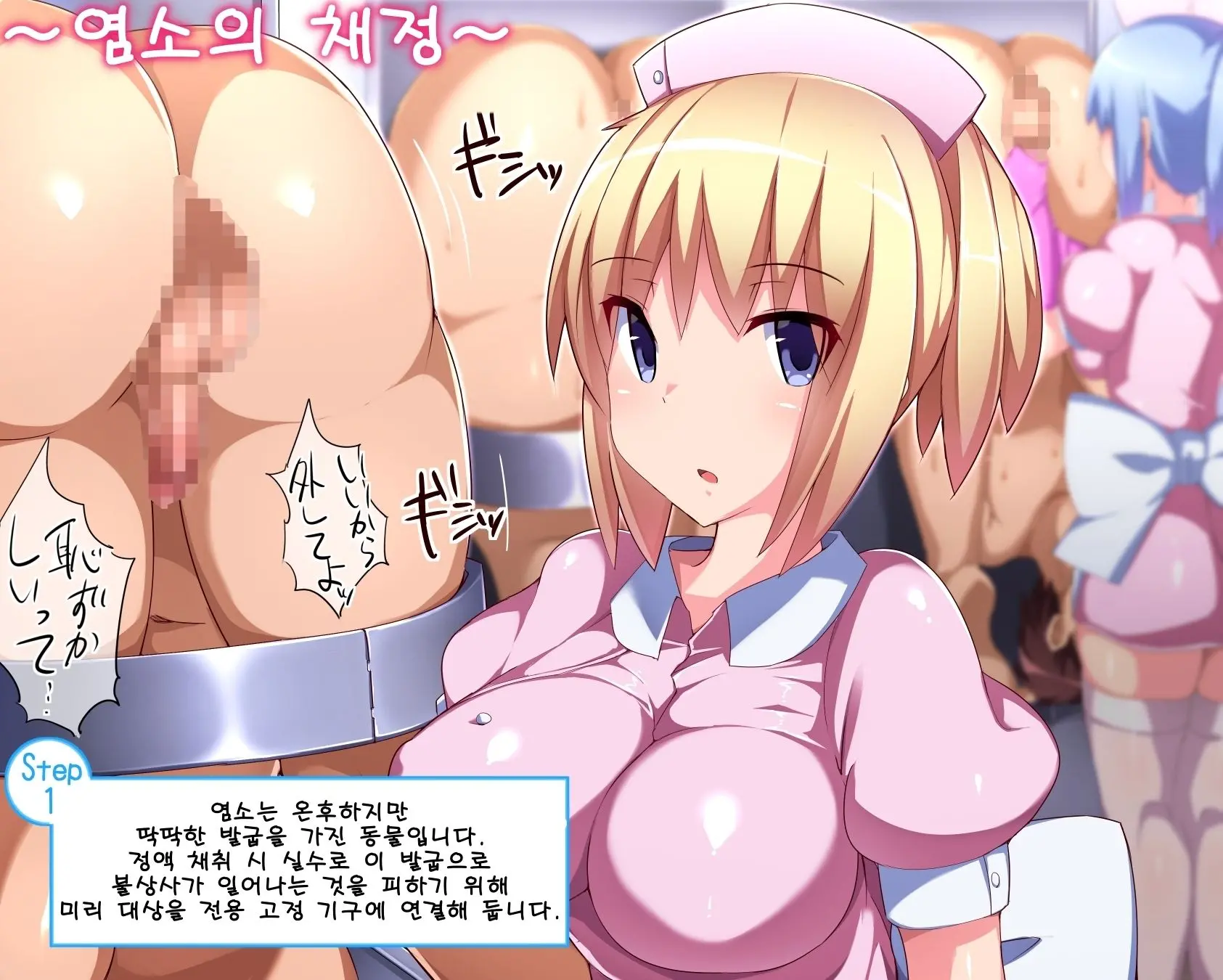 Sakusei No Kiso | 착정의 기초